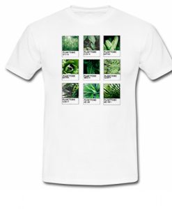 Plantone Cactus T Shirt