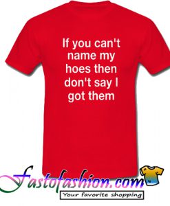 if you can't name my hoes T Shirt