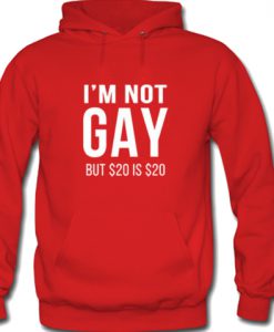 i'm not gay hoodie