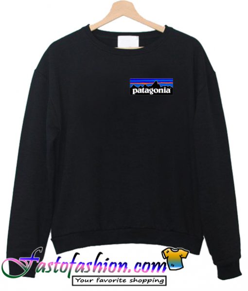 patagonia sweatshirt