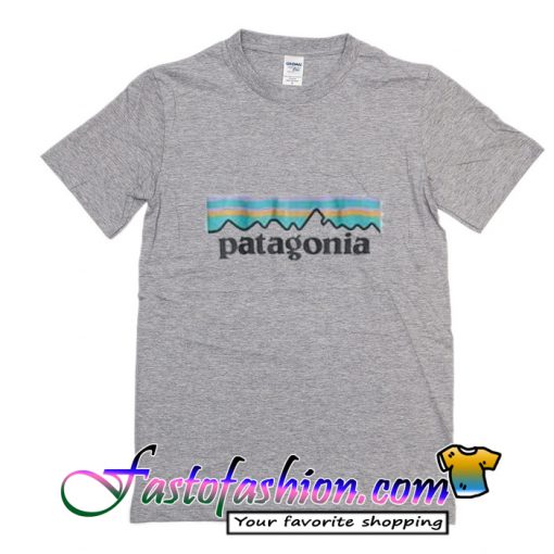 Patagonia T Shirt_SM2