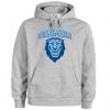 Columbia university lions hoodie ZNF08