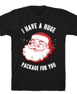 I Have A Huge Package For You Santa Tshirt ZNF08