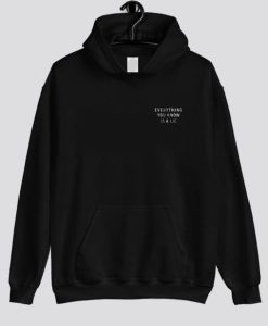 Everything You Know Is A Lie Hoodie SS