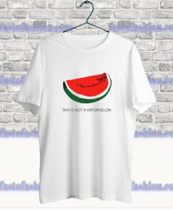 This Is Not A Watermelon - Palestine Flag T Shirt SS