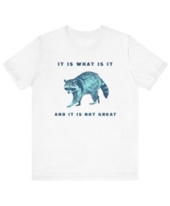 It Is What Is It T-shirt